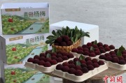 查询解梦高速赋能产业升级：一条“杨梅路”的致富密码